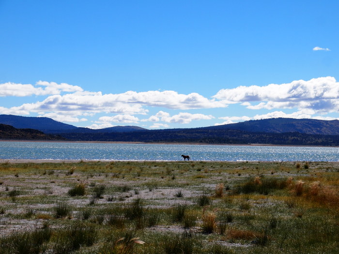 eagle lake boondocking