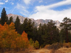 Hwy 395