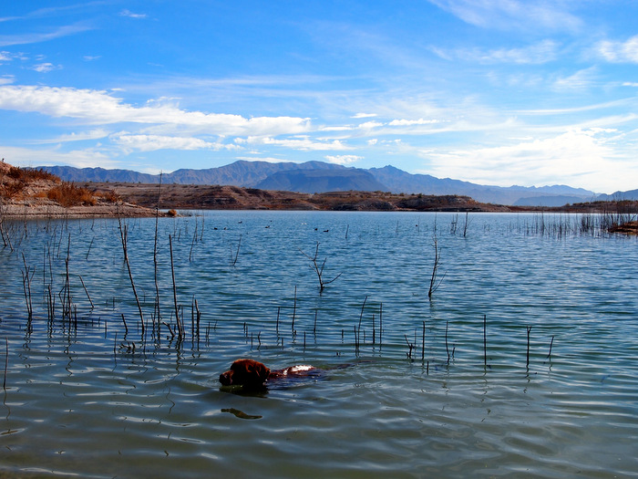 lake mead