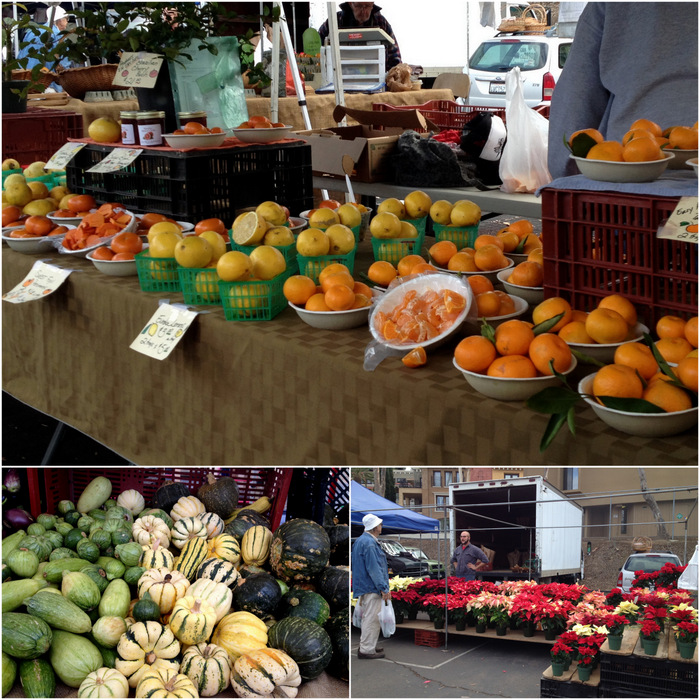 Citrus, Winter squash & Pointsettias