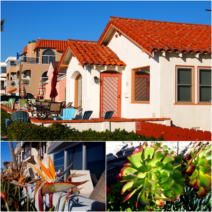 Colorful cottages + plants on the boadrwalk