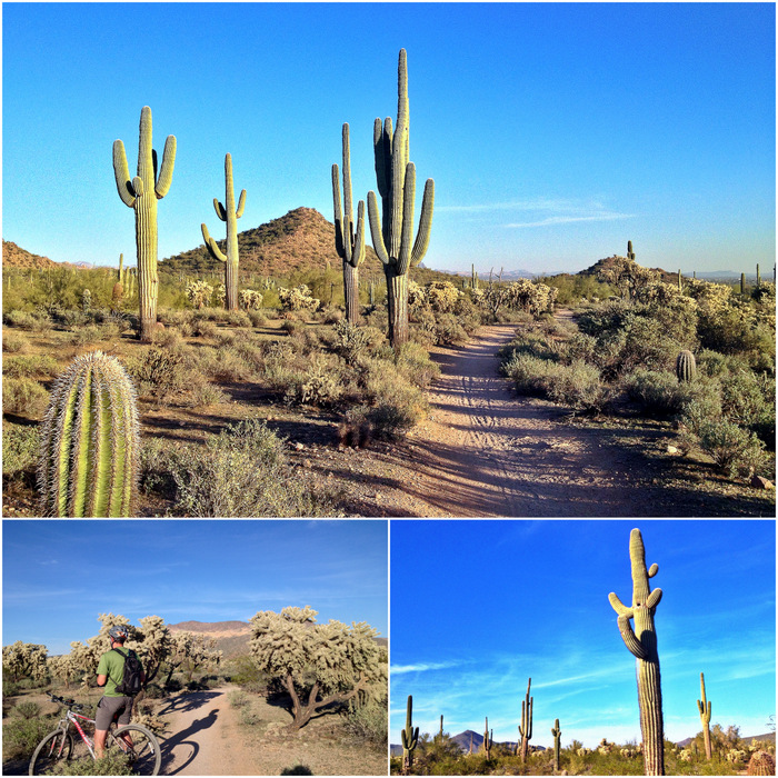 Usery mountain regional park