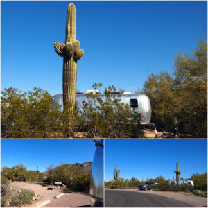 Usery Mountain regional park