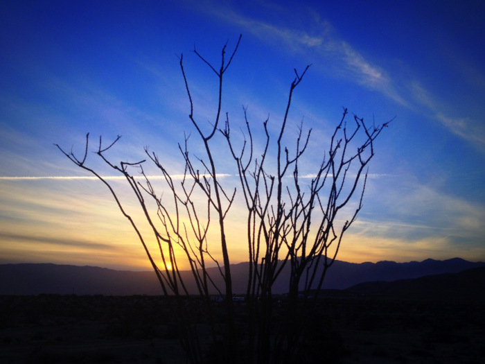 anza borrego