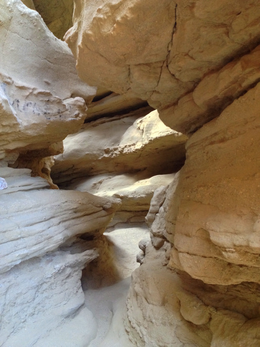 anza borrego