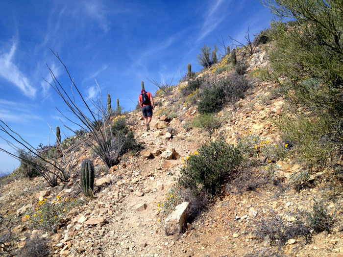 A steep section of the trail