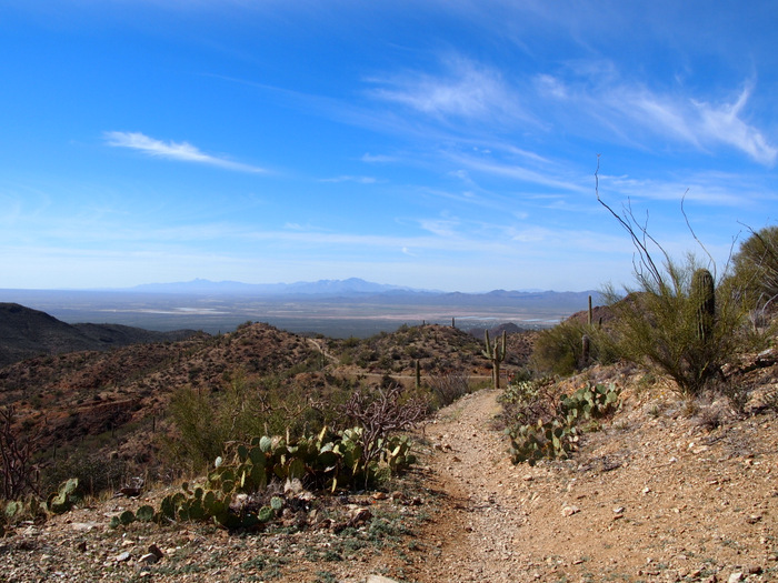 At the intersection of the King Canyon & Sweetwater Trails