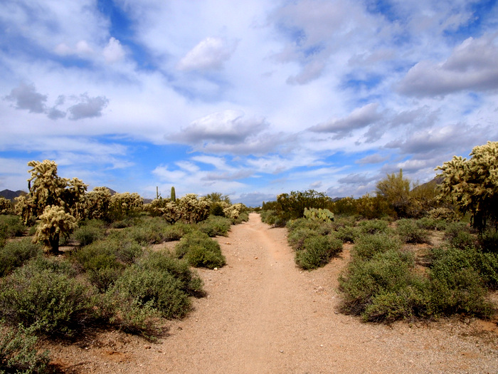 usery mountain park
