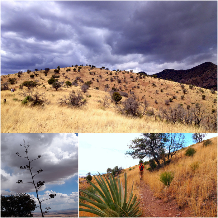 Joe's Canyon Trail