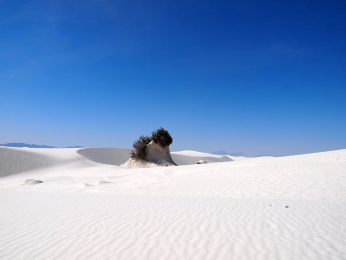 white sands