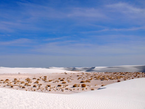 white sands