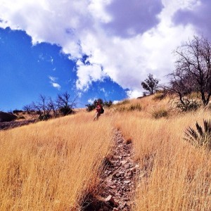 Bisbee, AZ