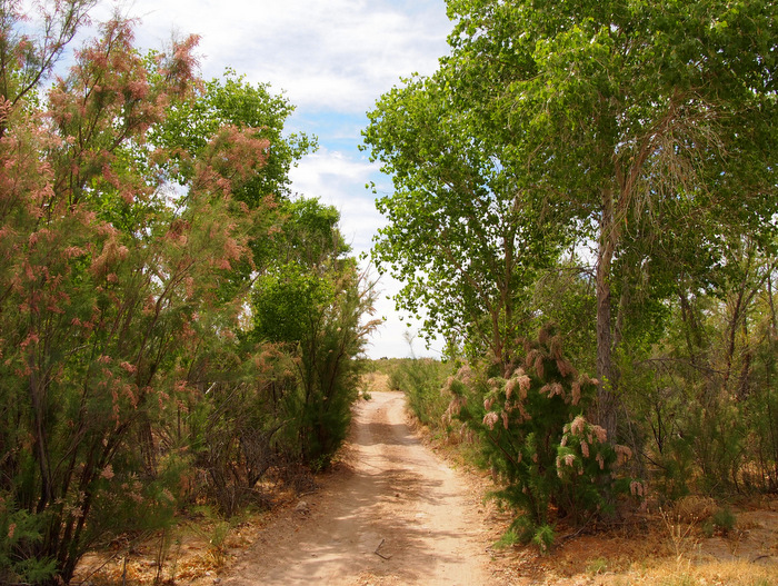 caballo lake state park