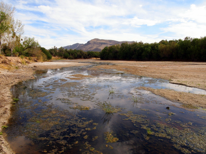 leasburg dam state park