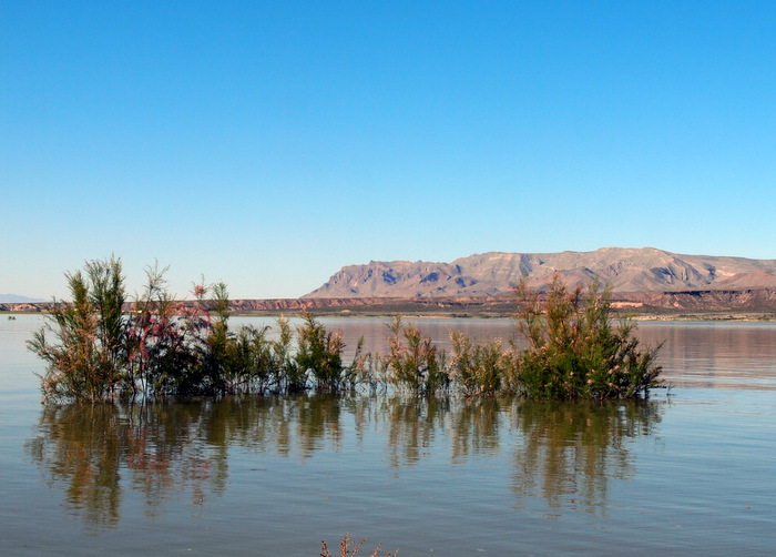 elephant butte lake state park