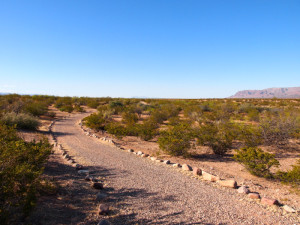 elephant butte lake state park