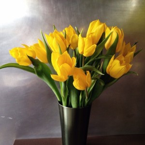 Tulips