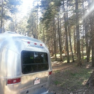 Lincoln National Forest
