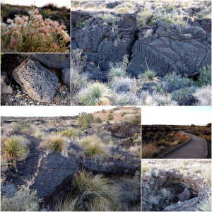 Valley of Fires
