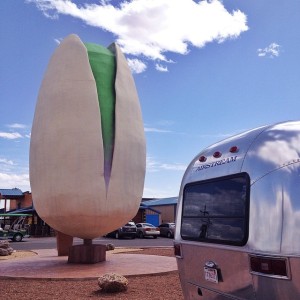 Giant Pistachio