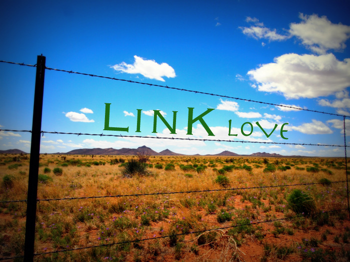 Link Love