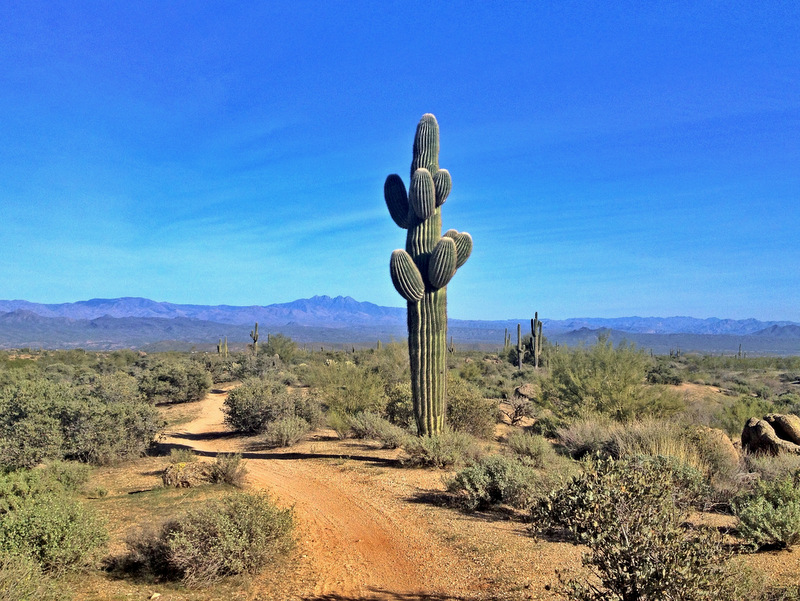 McDowell Mountain Park