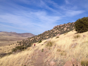 New Mexico State Parks