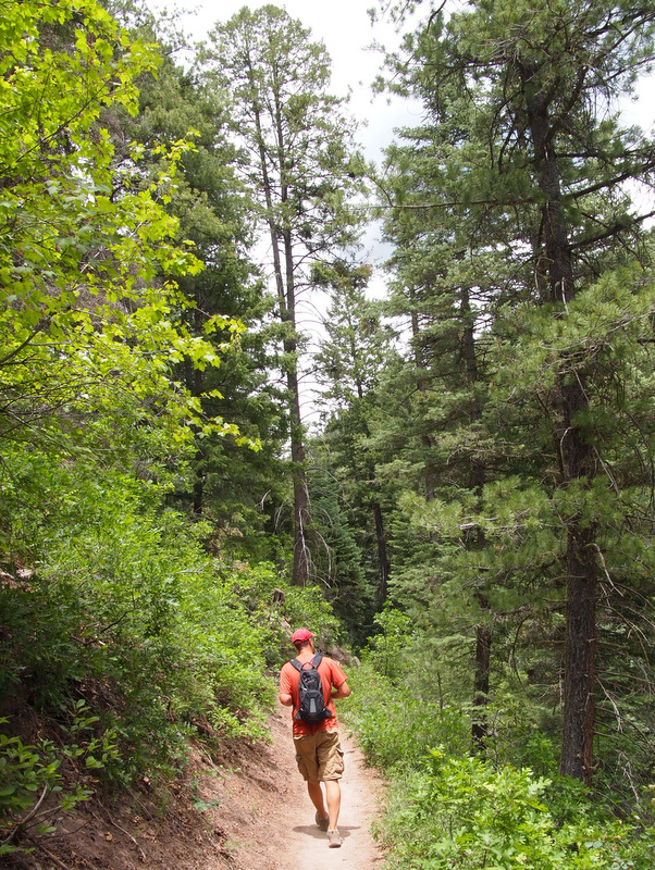 Colorado Trail