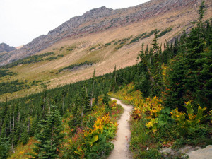 Glacier National Park