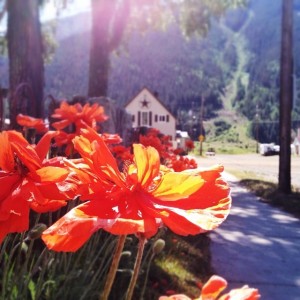 Silverton, CO