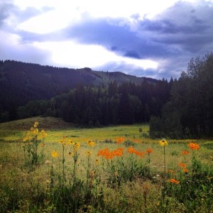 Crested Butte