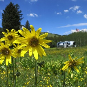 Crested Butte