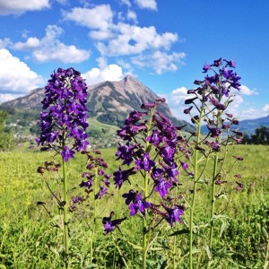 Crested Butte