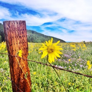 Crested Butte