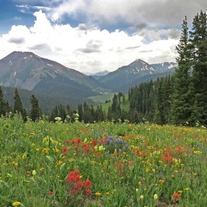 Crested Butte