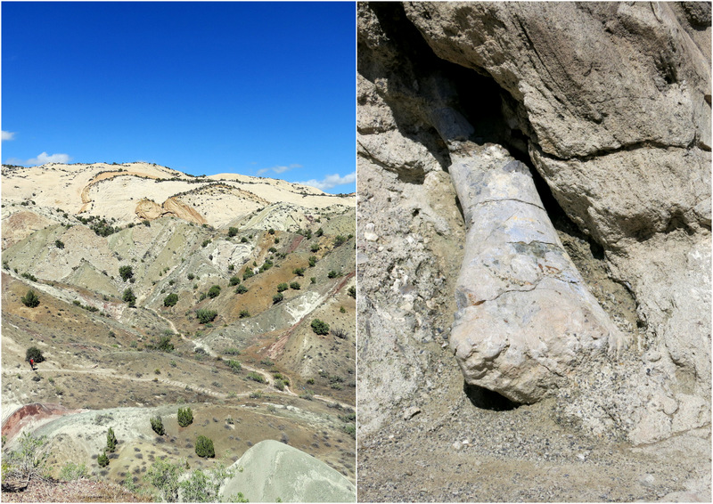 Dinosaur National Monument