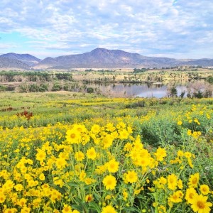 Bear Creek Lake Park