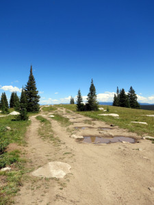 Rabbit Ear's Pass