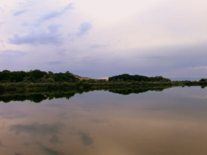 Colorado River State Park