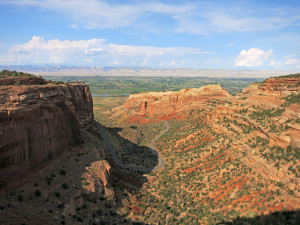 Colorado River State Park