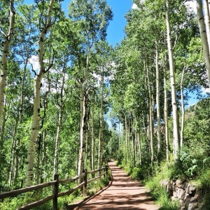 Telluride, CO