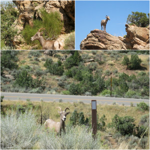 Colorado National Monument