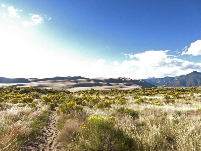 Pinon Flats Campground