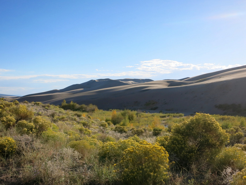 Pinon Flat Campground