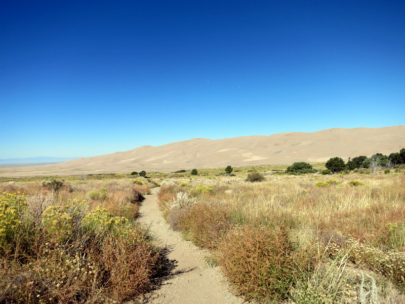 Pinon Flats Campground