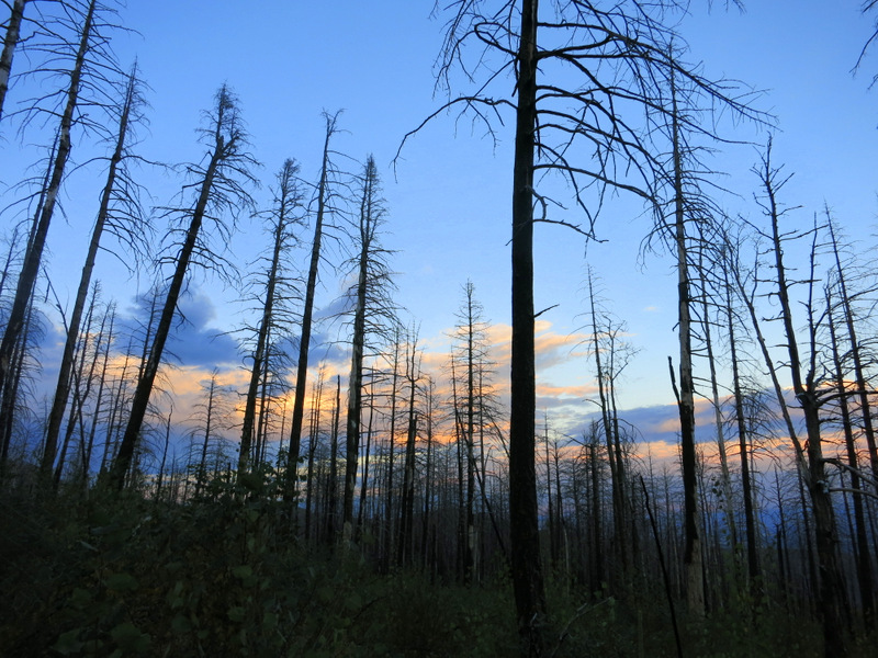 Los Alamos, New Mexico