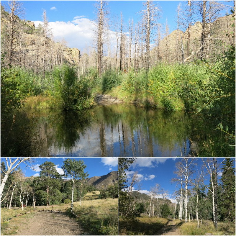 Pinon Flats Campground