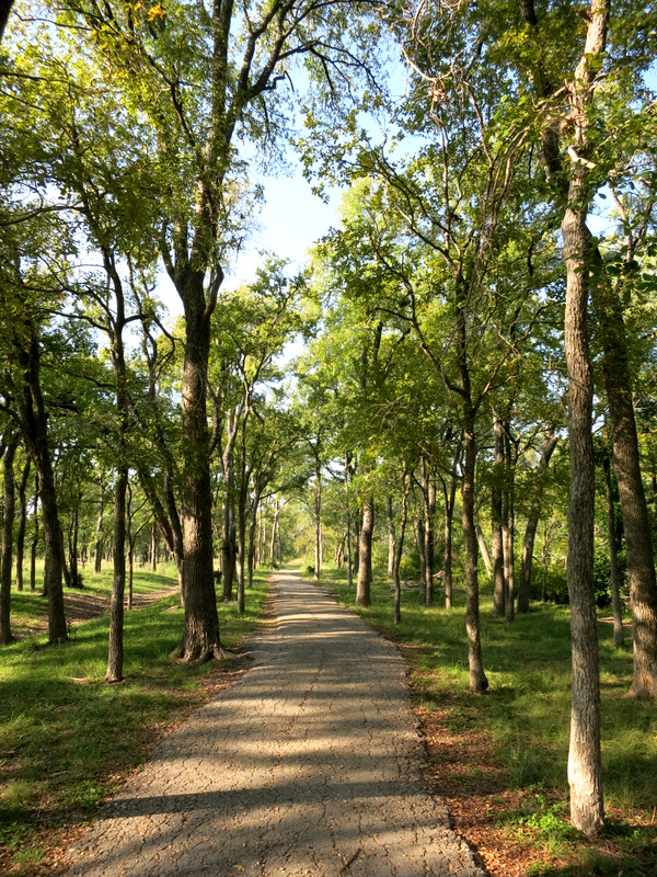 McKinney Falls State Park