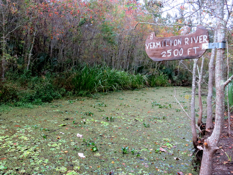 Palmetto Island State Park