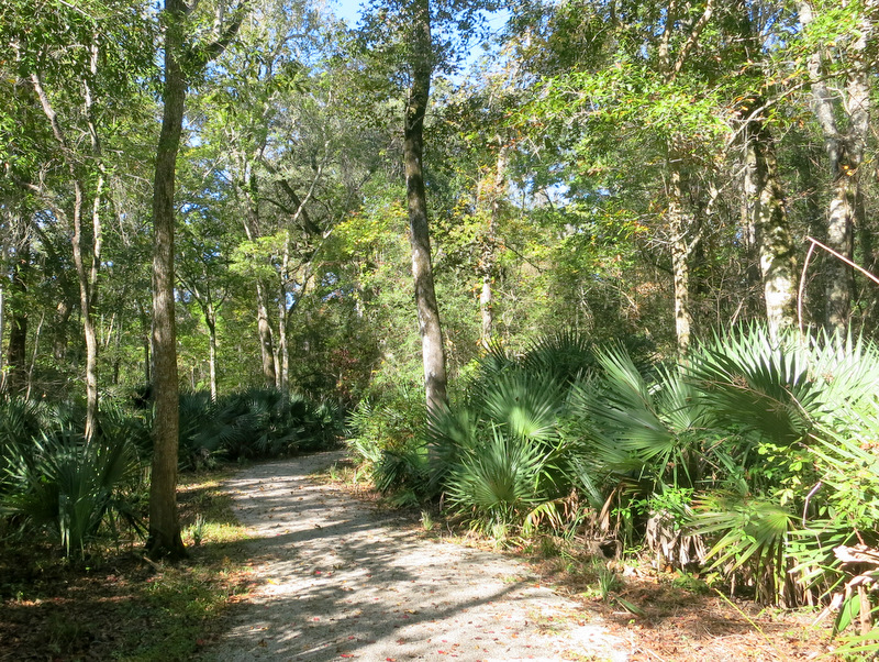 Palmetto Island State Park